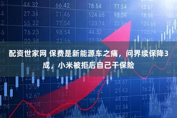 配资世家网 保费是新能源车之痛,问界续保降3成,小米被拒后自己干保险