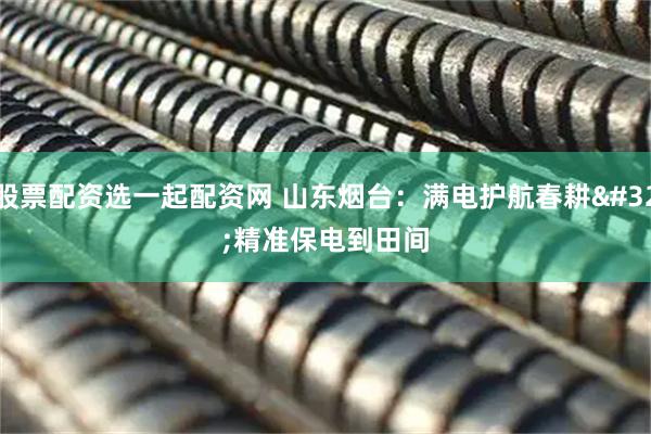 股票配资选一起配资网 山东烟台：满电护航春耕 精准保电到田间