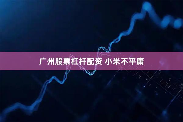 广州股票杠杆配资 小米不平庸