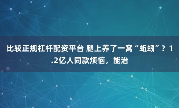 比较正规杠杆配资平台 腿上养了一窝“蚯蚓”？1.2亿人同款烦恼，能治